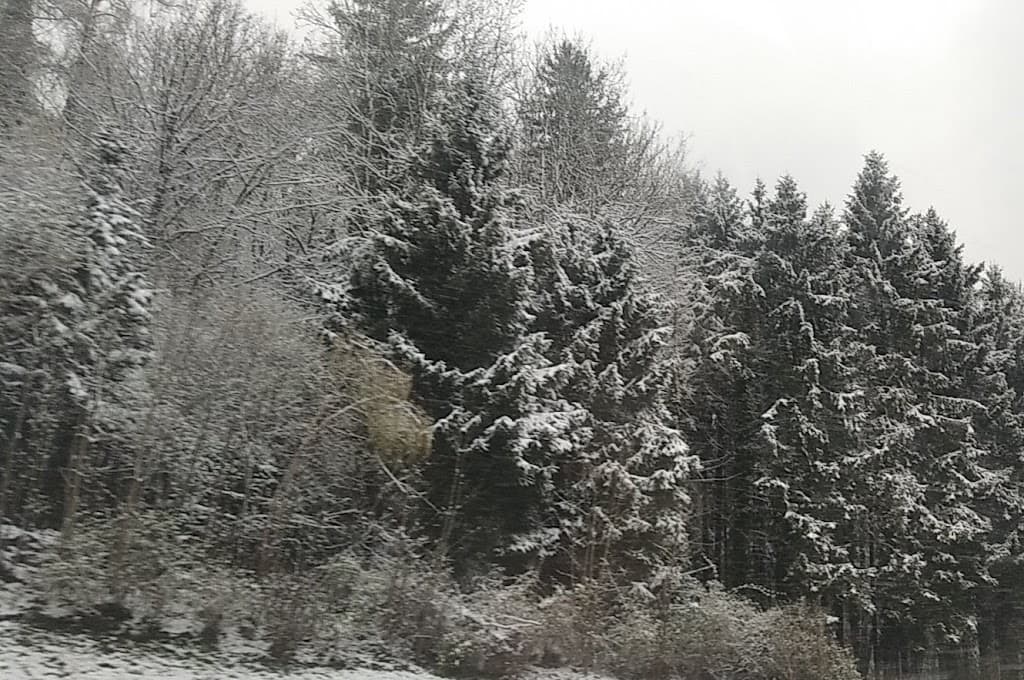 Häggenschwil