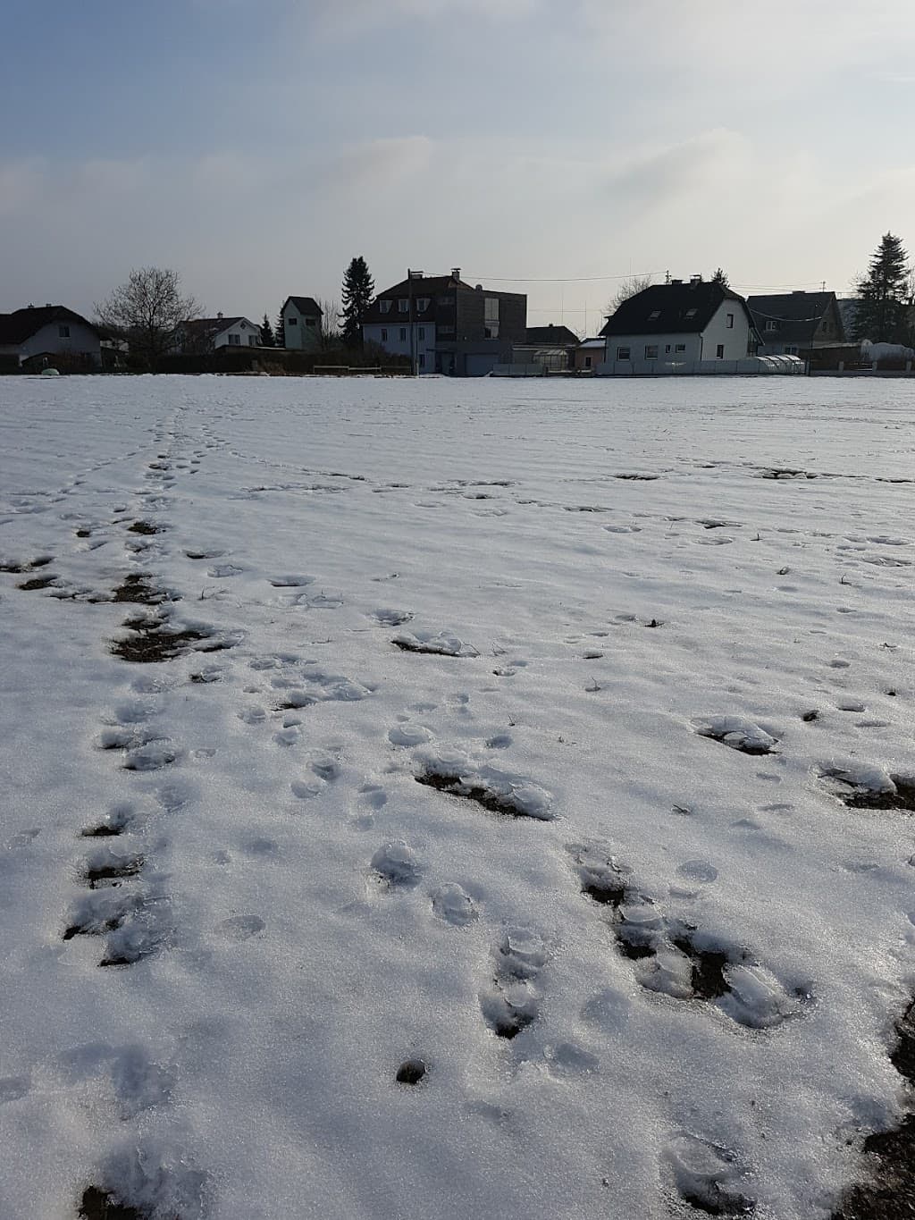 Gunskirchen