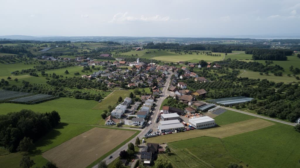 Muolen