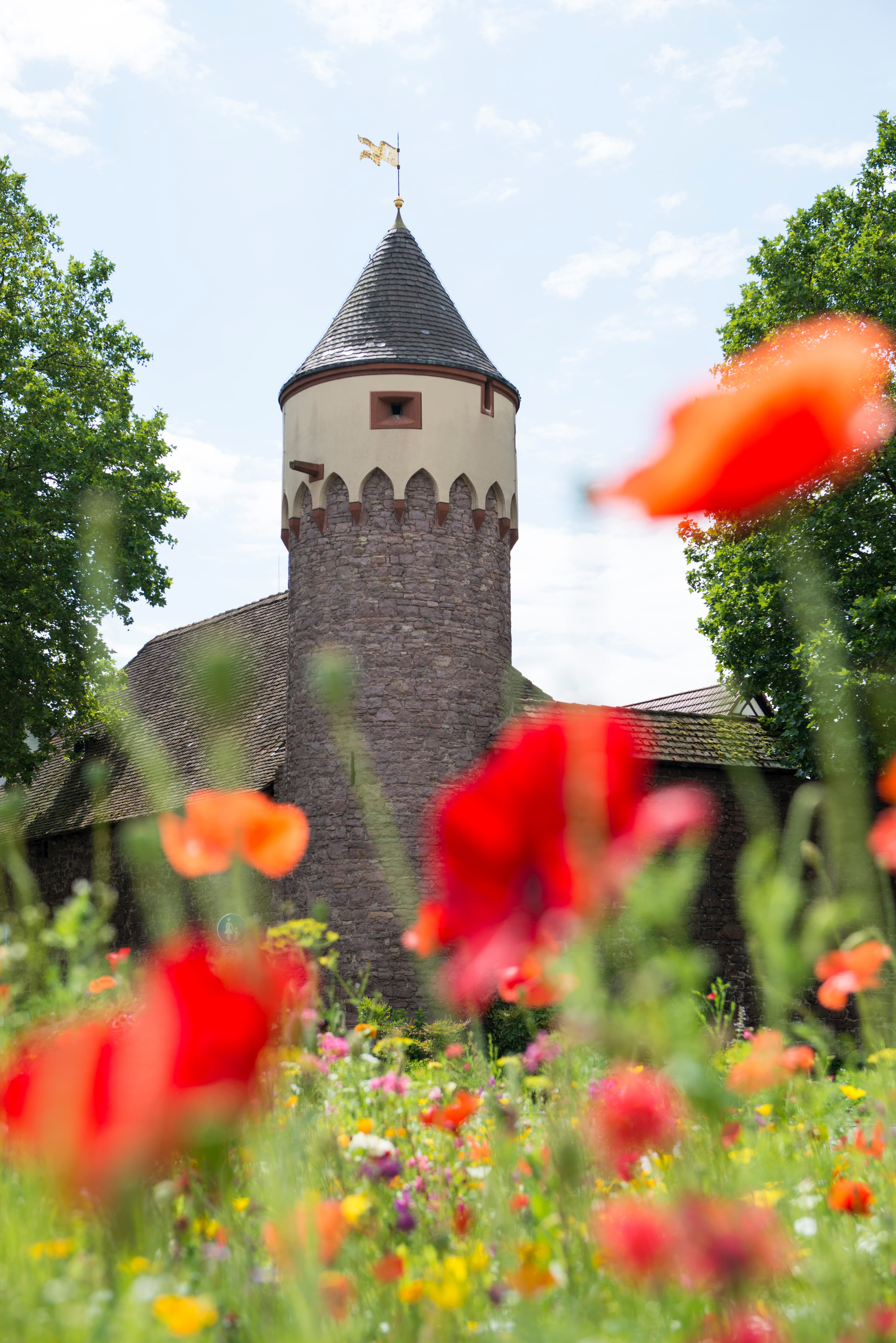 Lauerturm