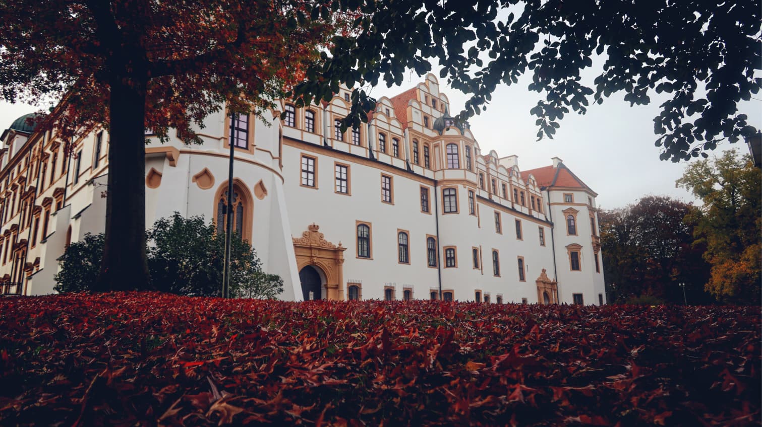 Celle landscape