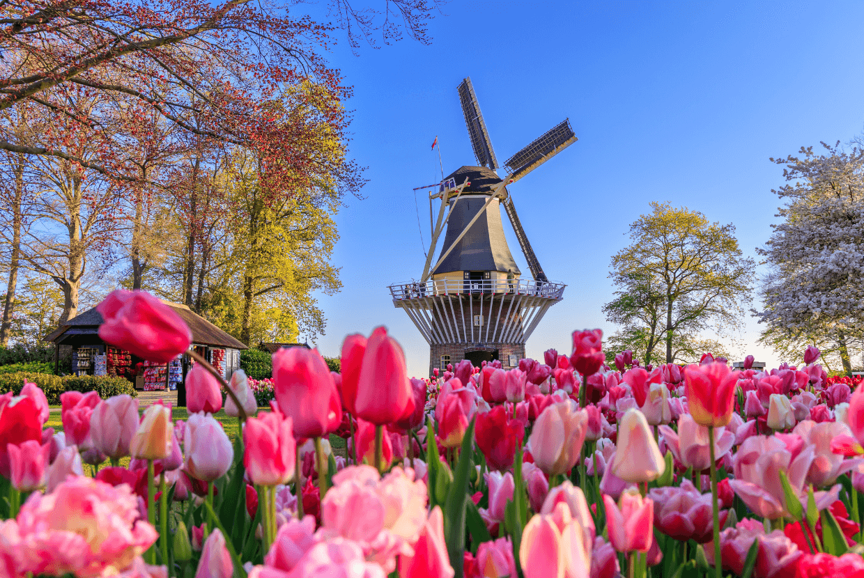 Niederlande landscape