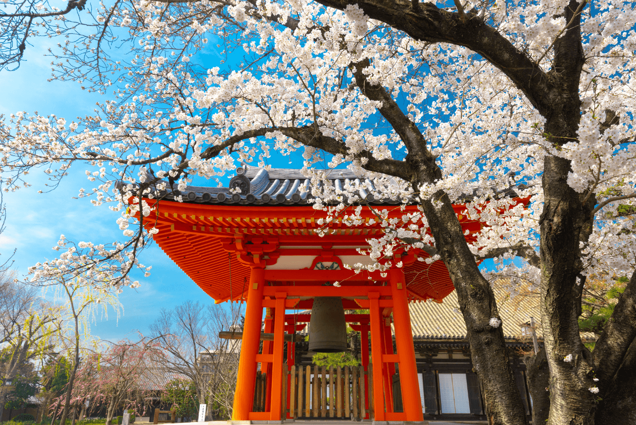 Japan landscape