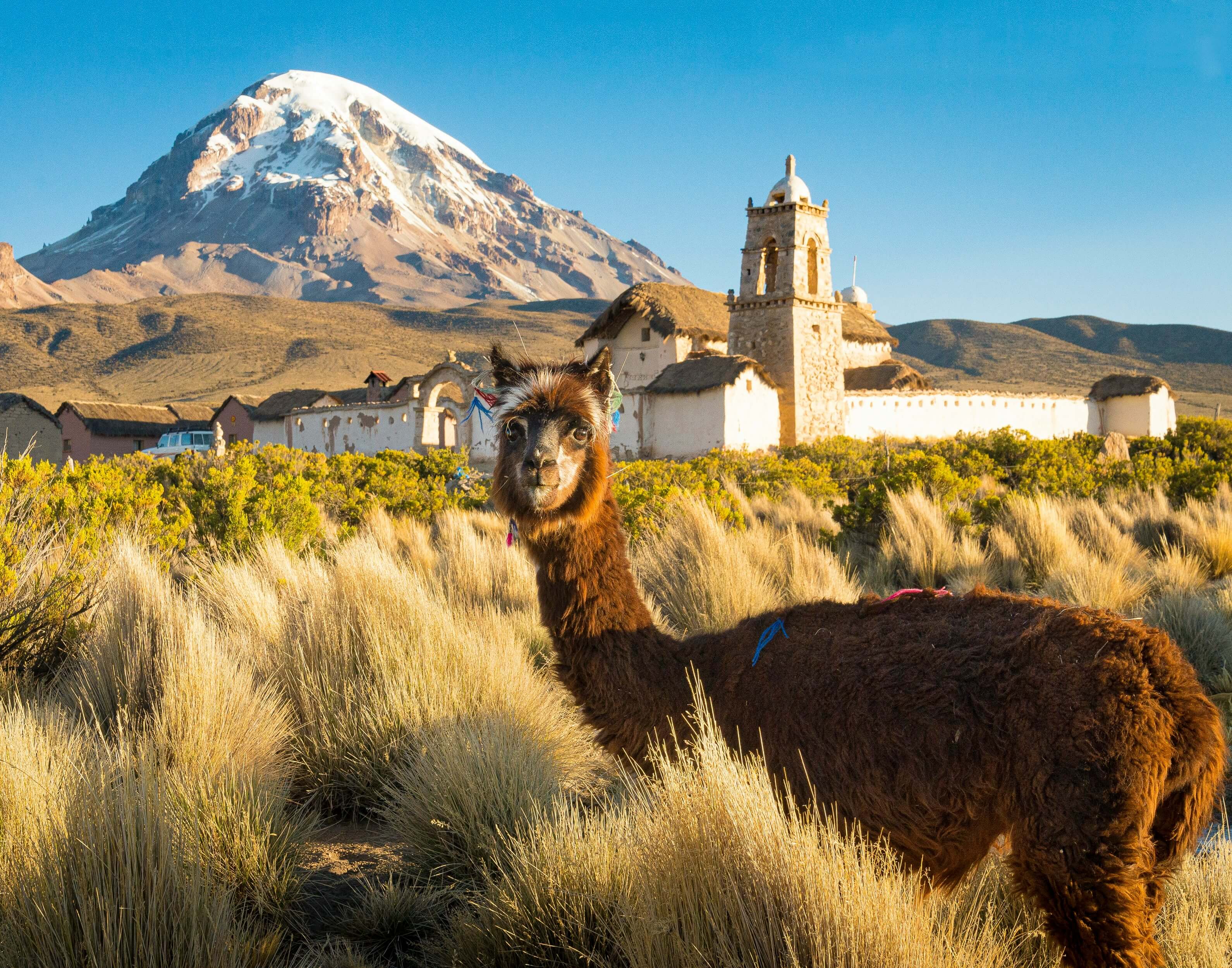 Bolivien landscape