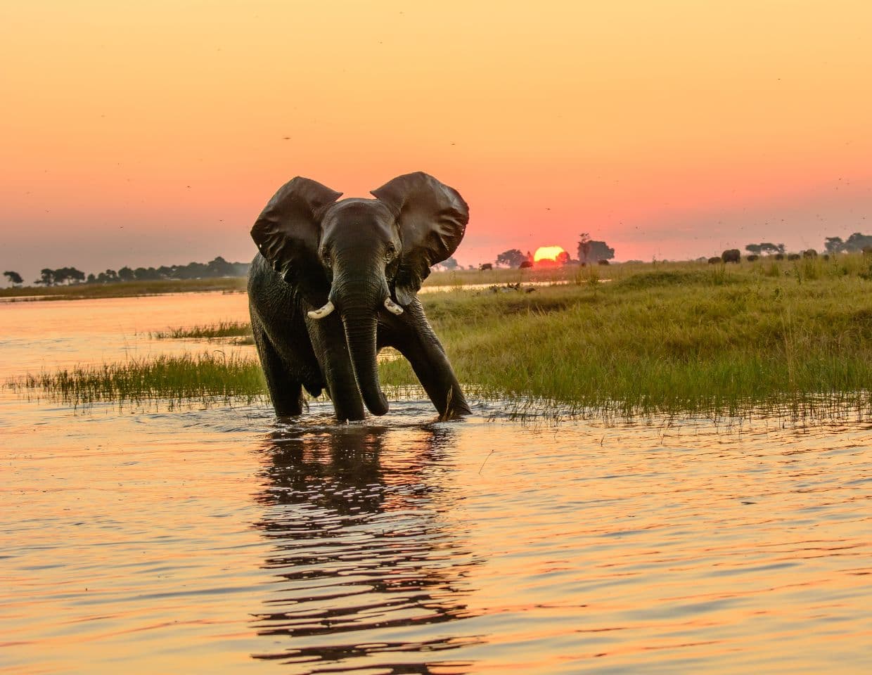 Botswana landscape
