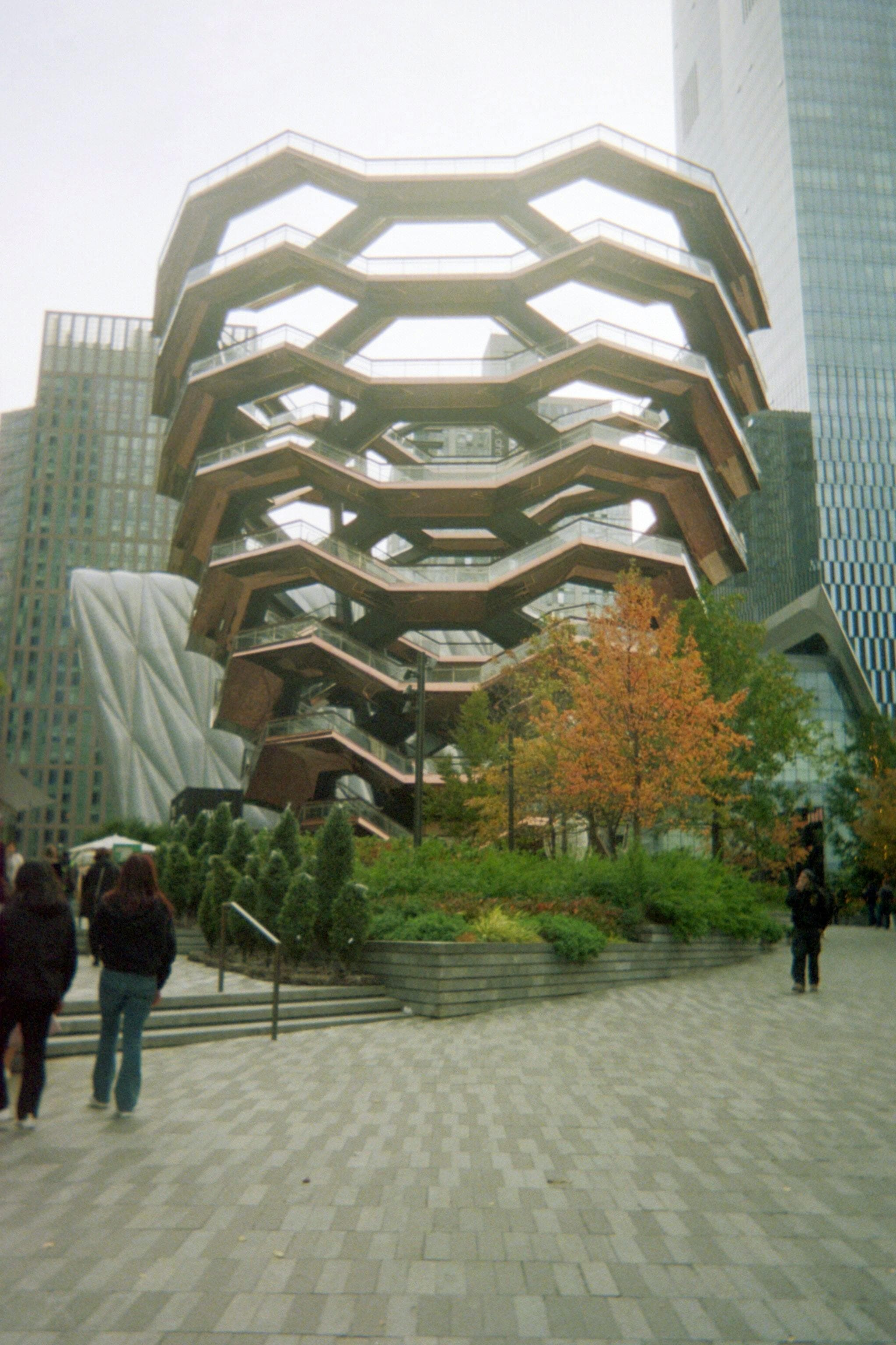 Madison Square Garden