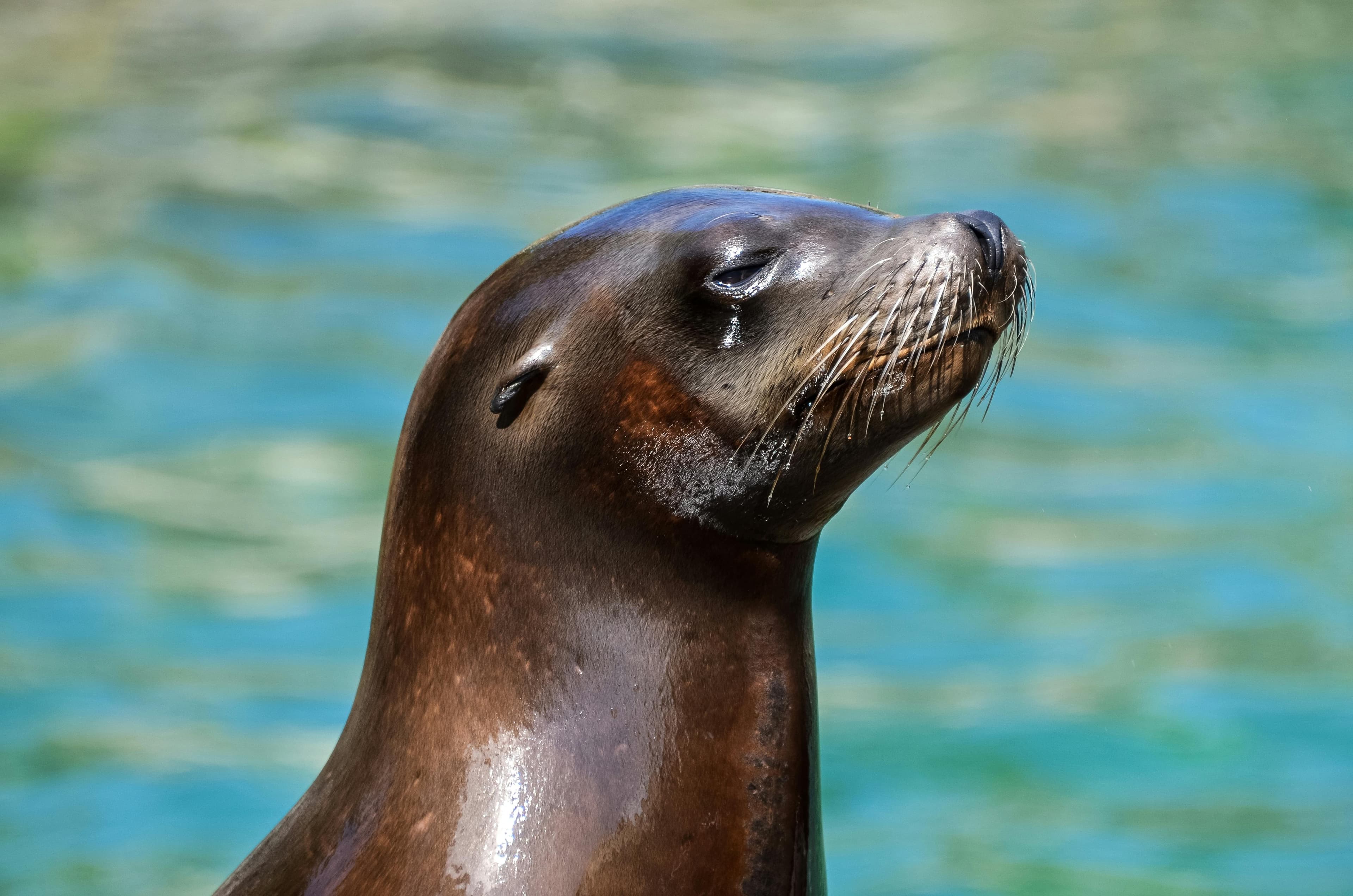Kölner Zoo