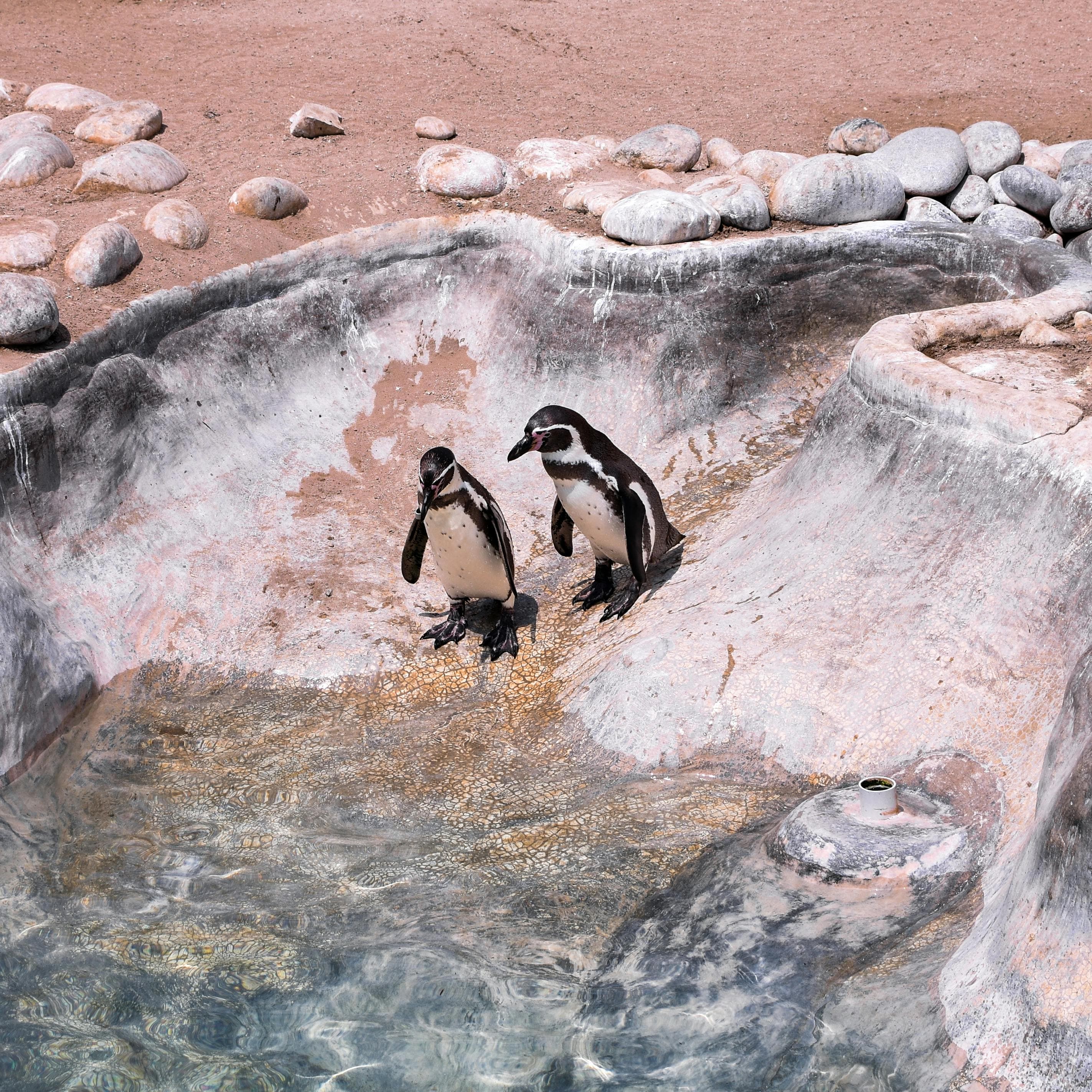 Warschauer Zoo