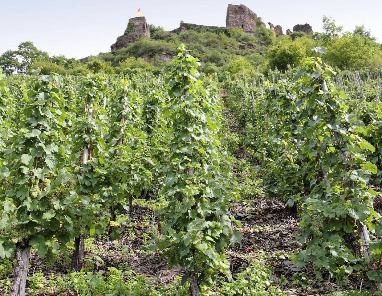 Rheinland-Pfalz