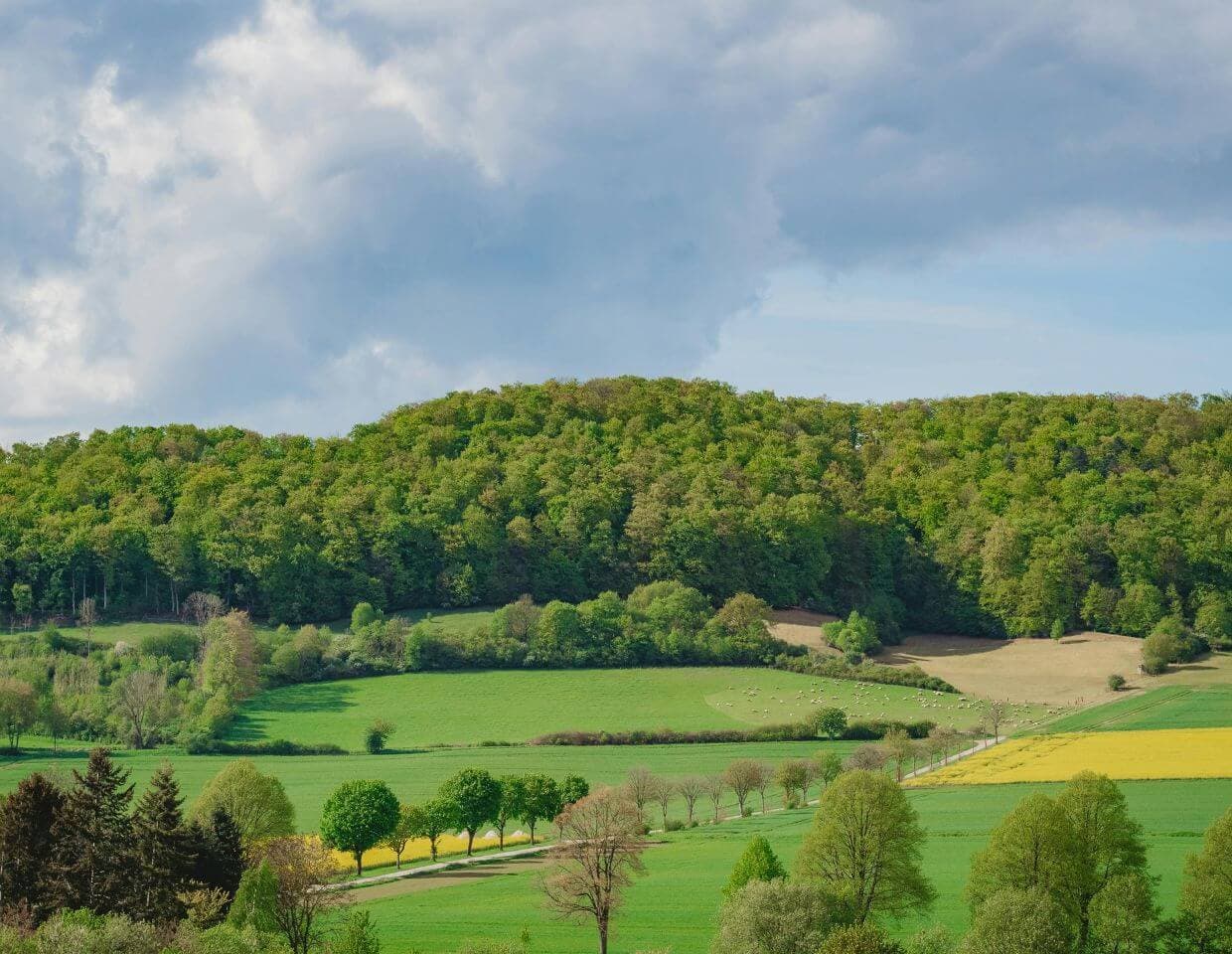Sachsen-Anhalt landscape
