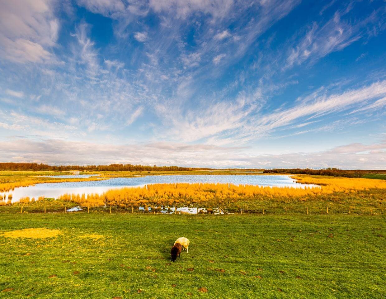Schleswig-Holstein landscape