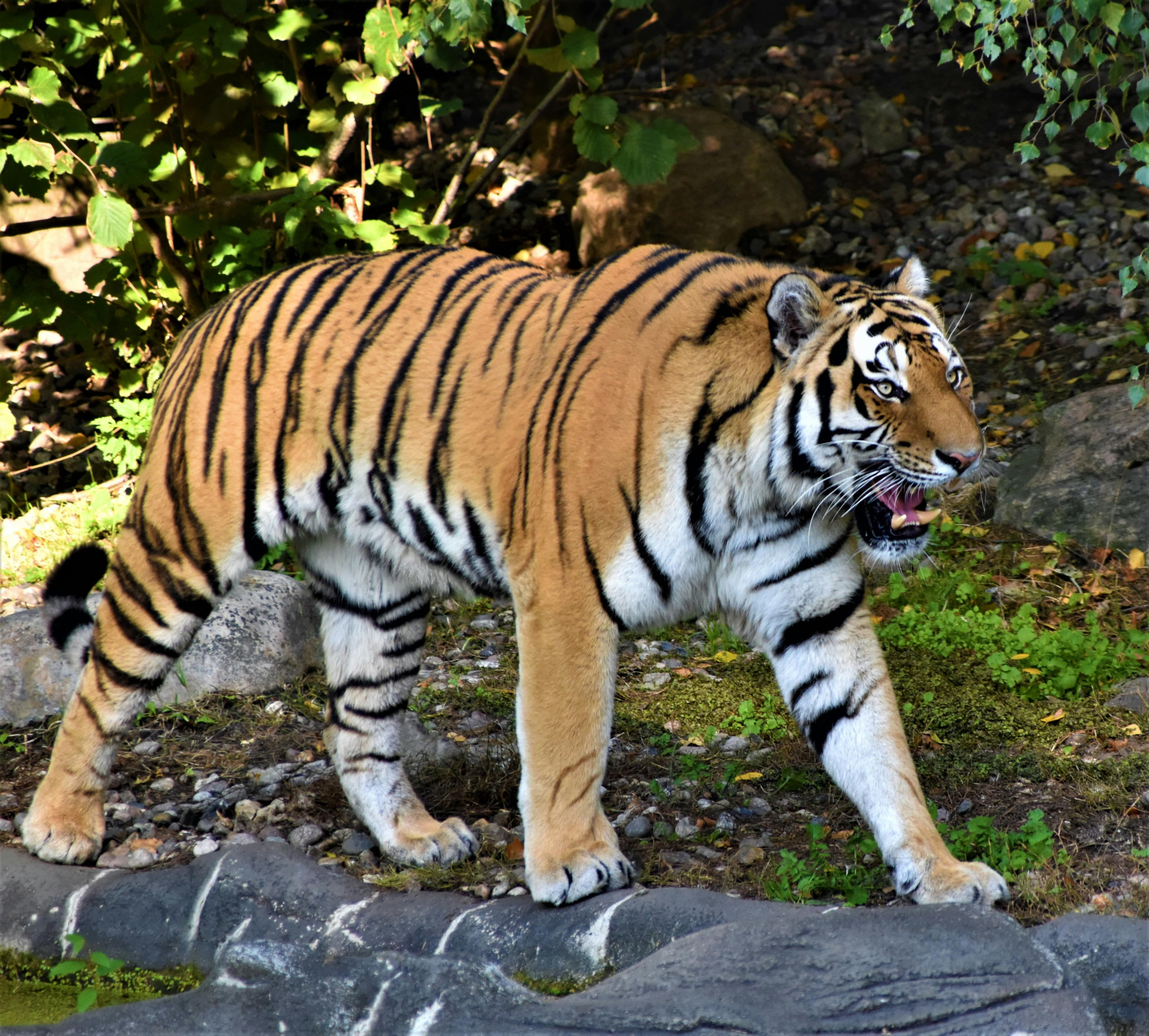 Tierpark Hagenbeck