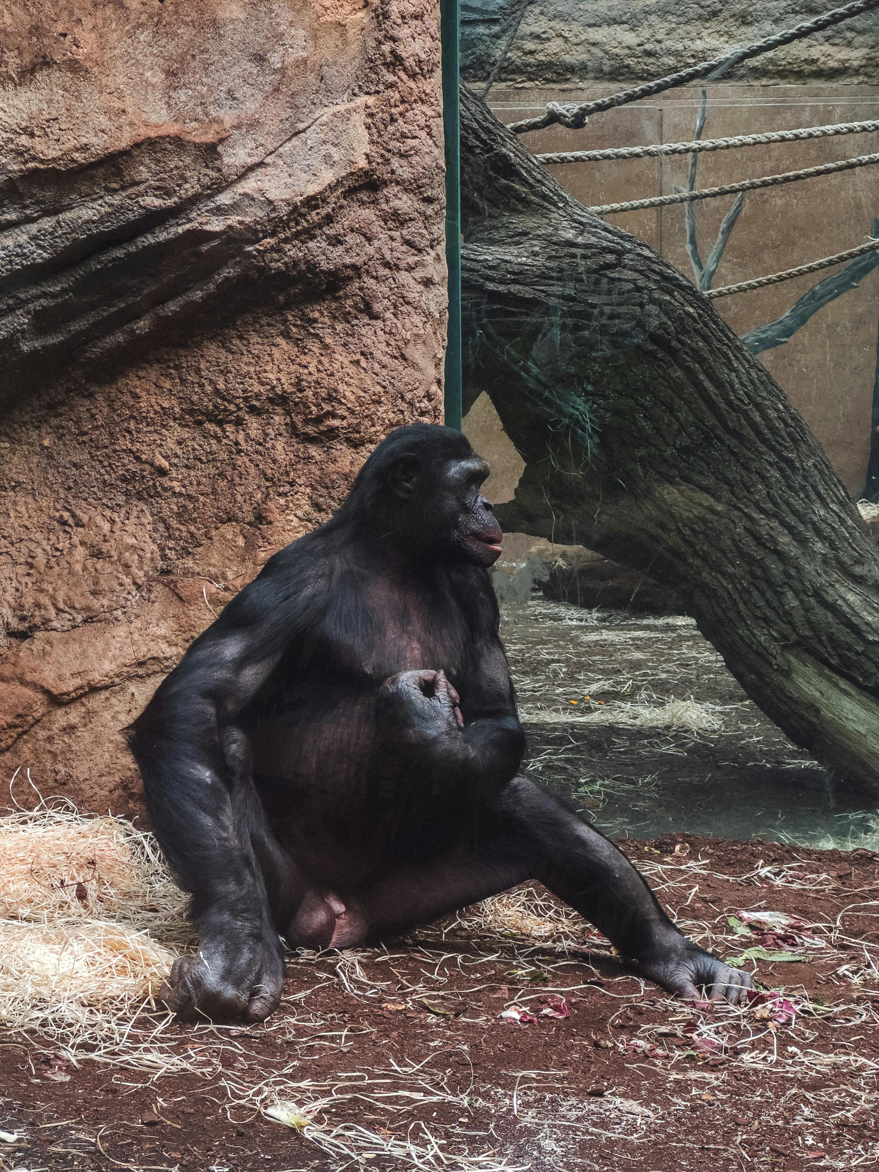 Zoo Frankfurt