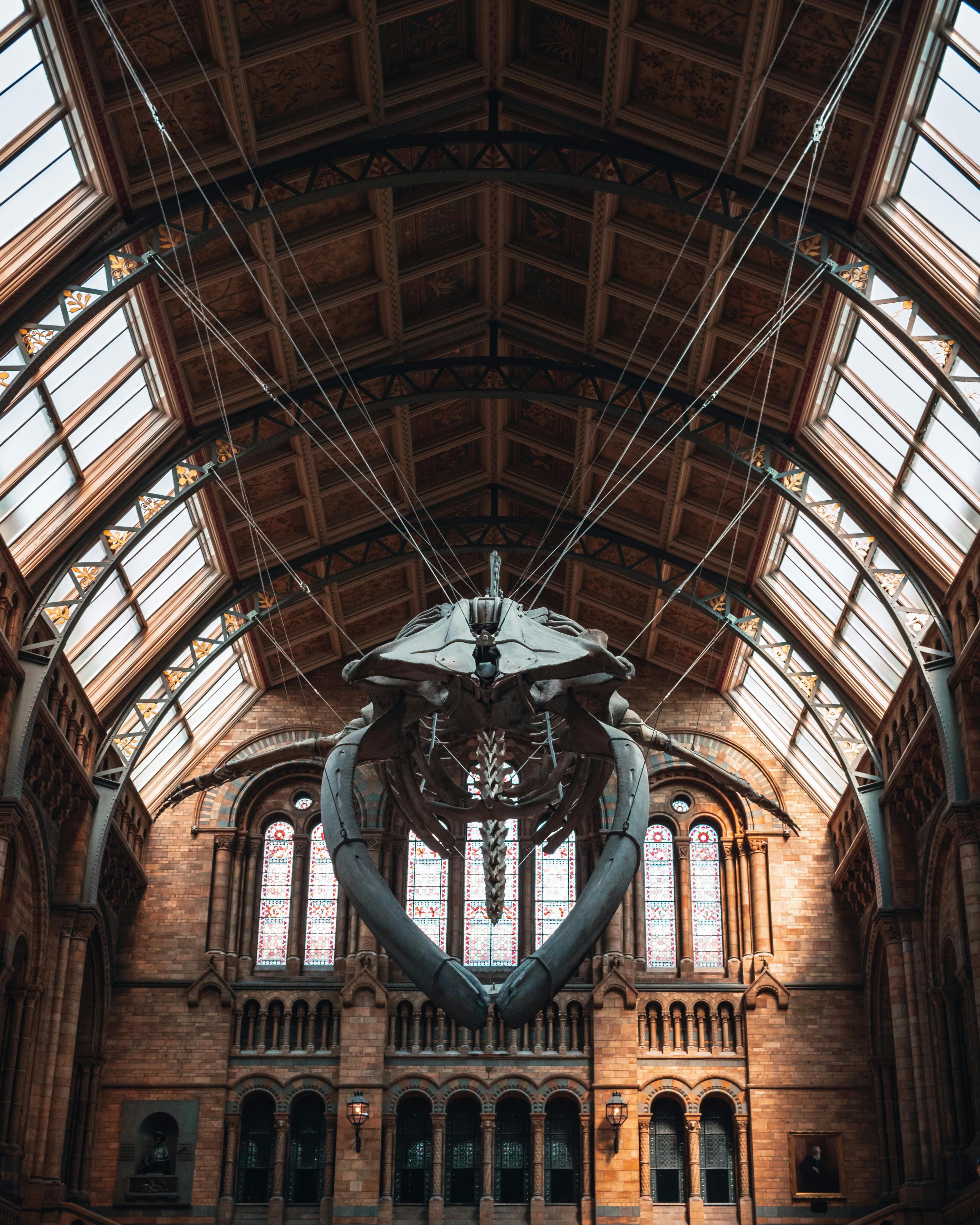Natural History Museum