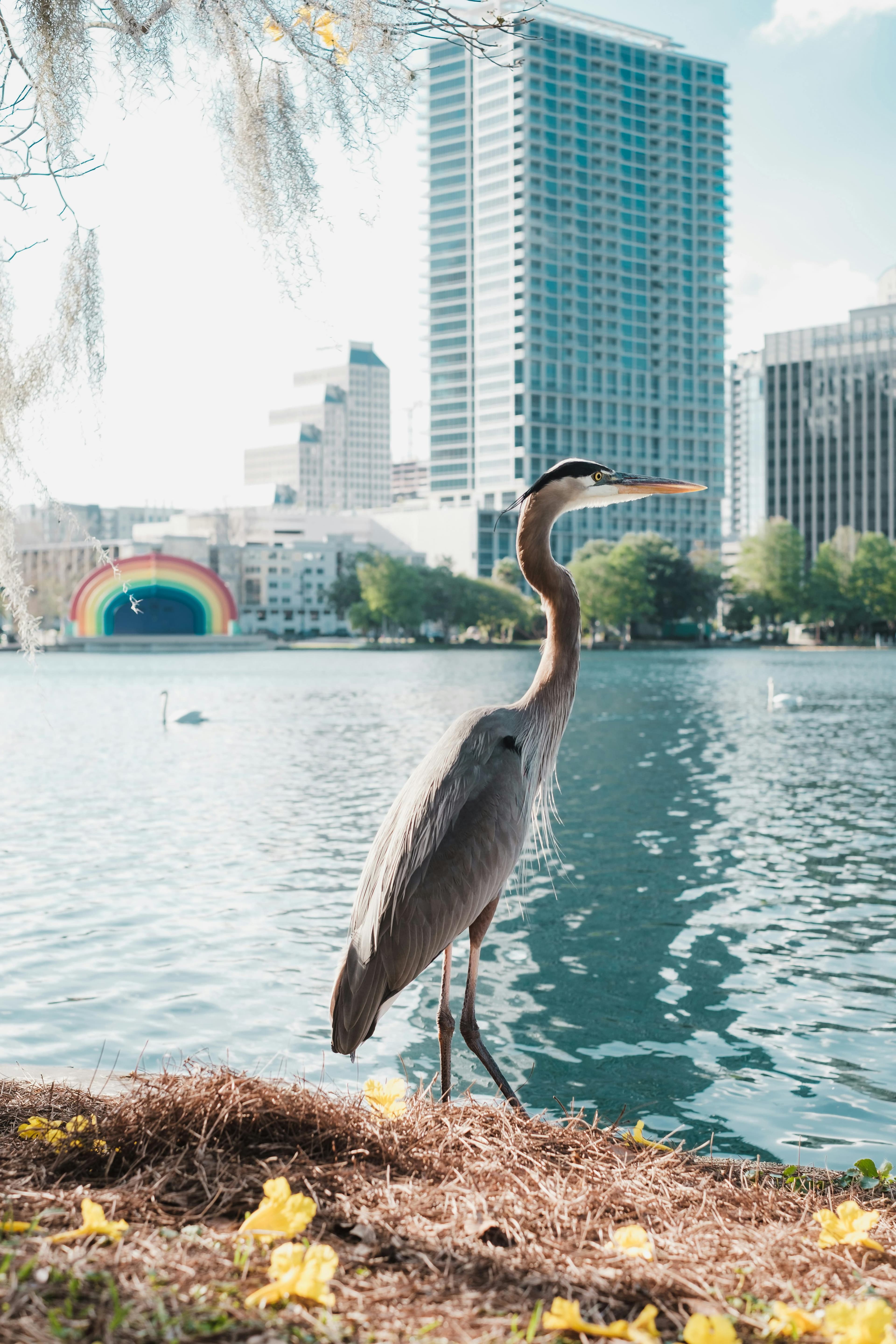 Lake Eola Park