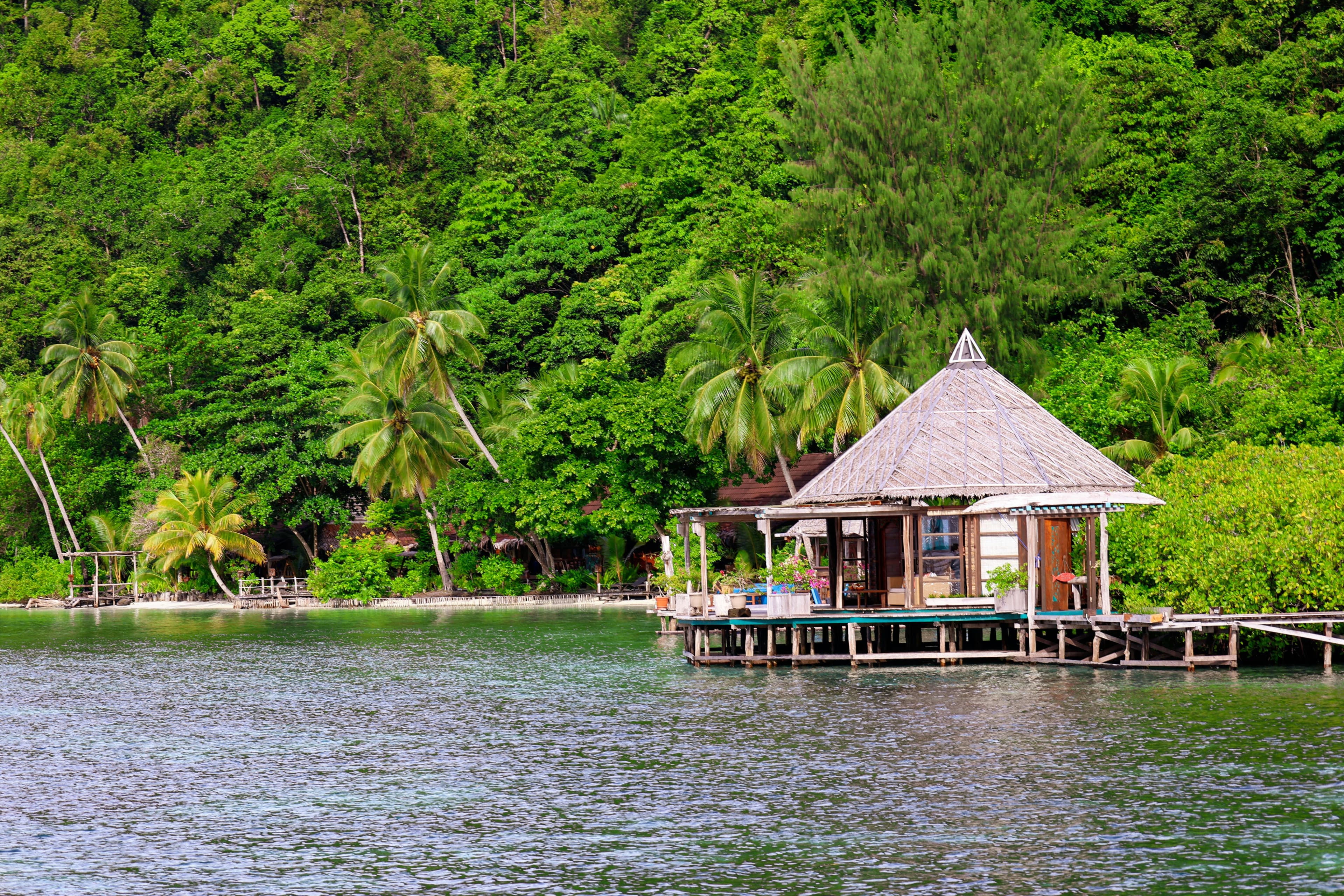 Jungle Island