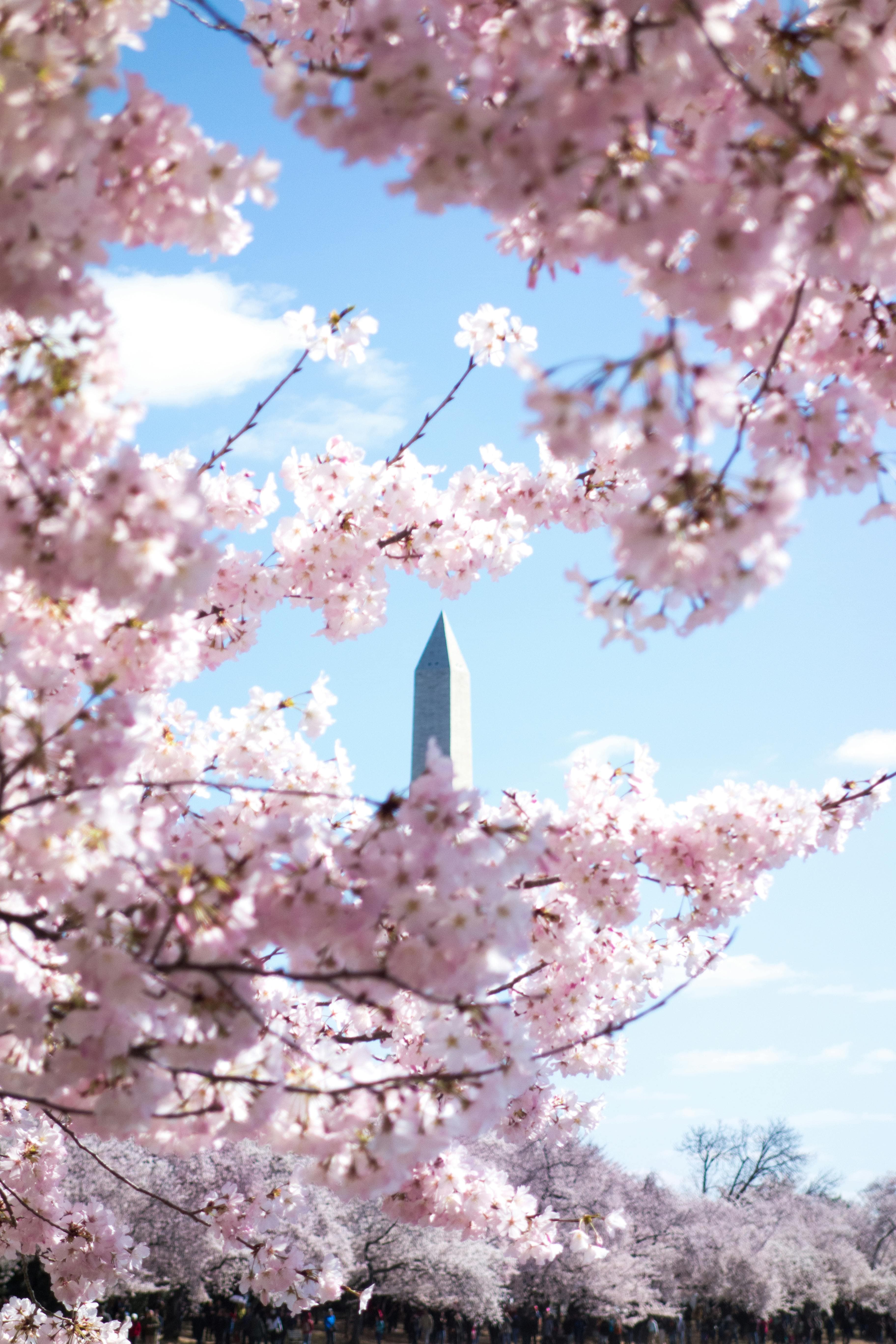 Washington Park