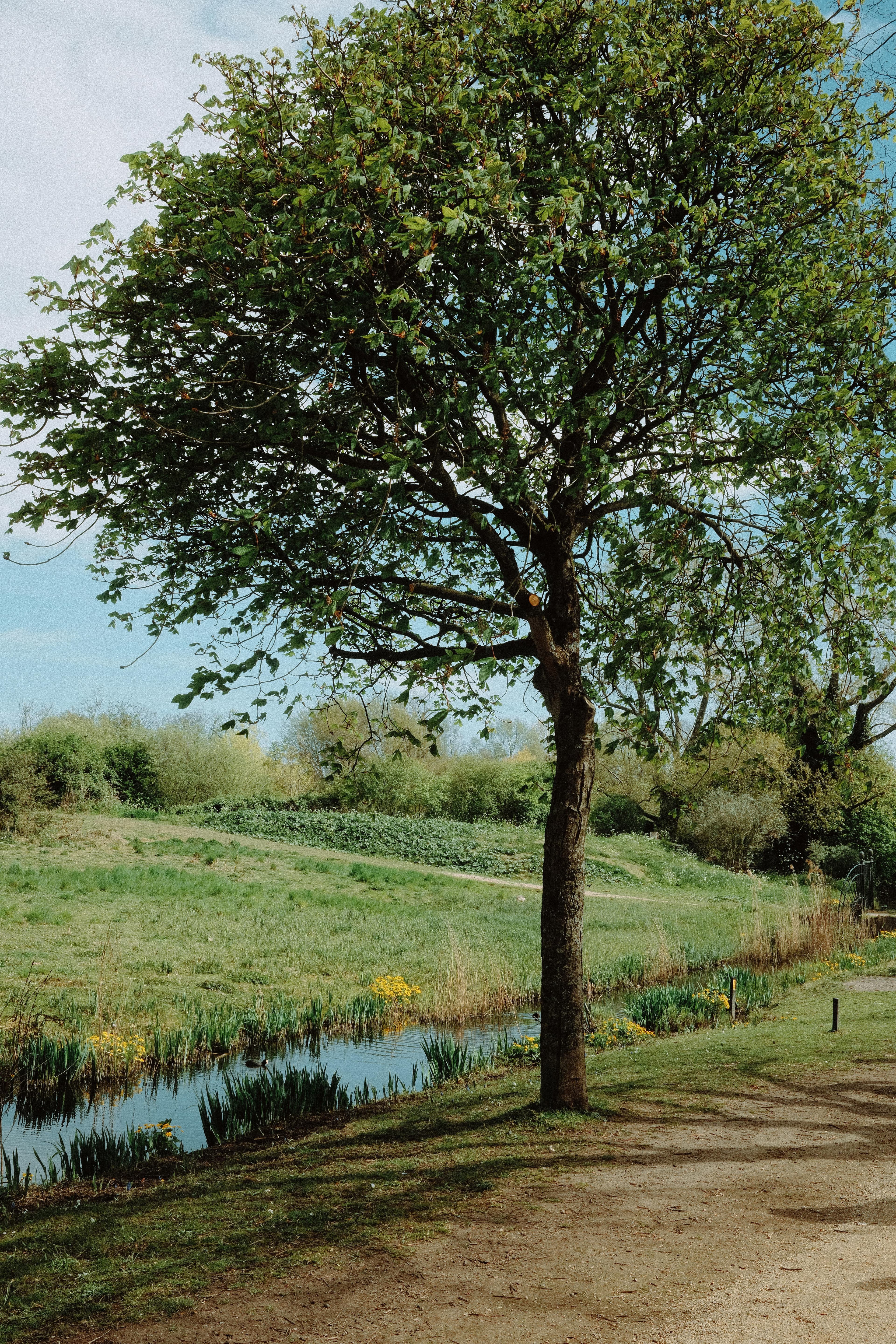 Beatrix Park