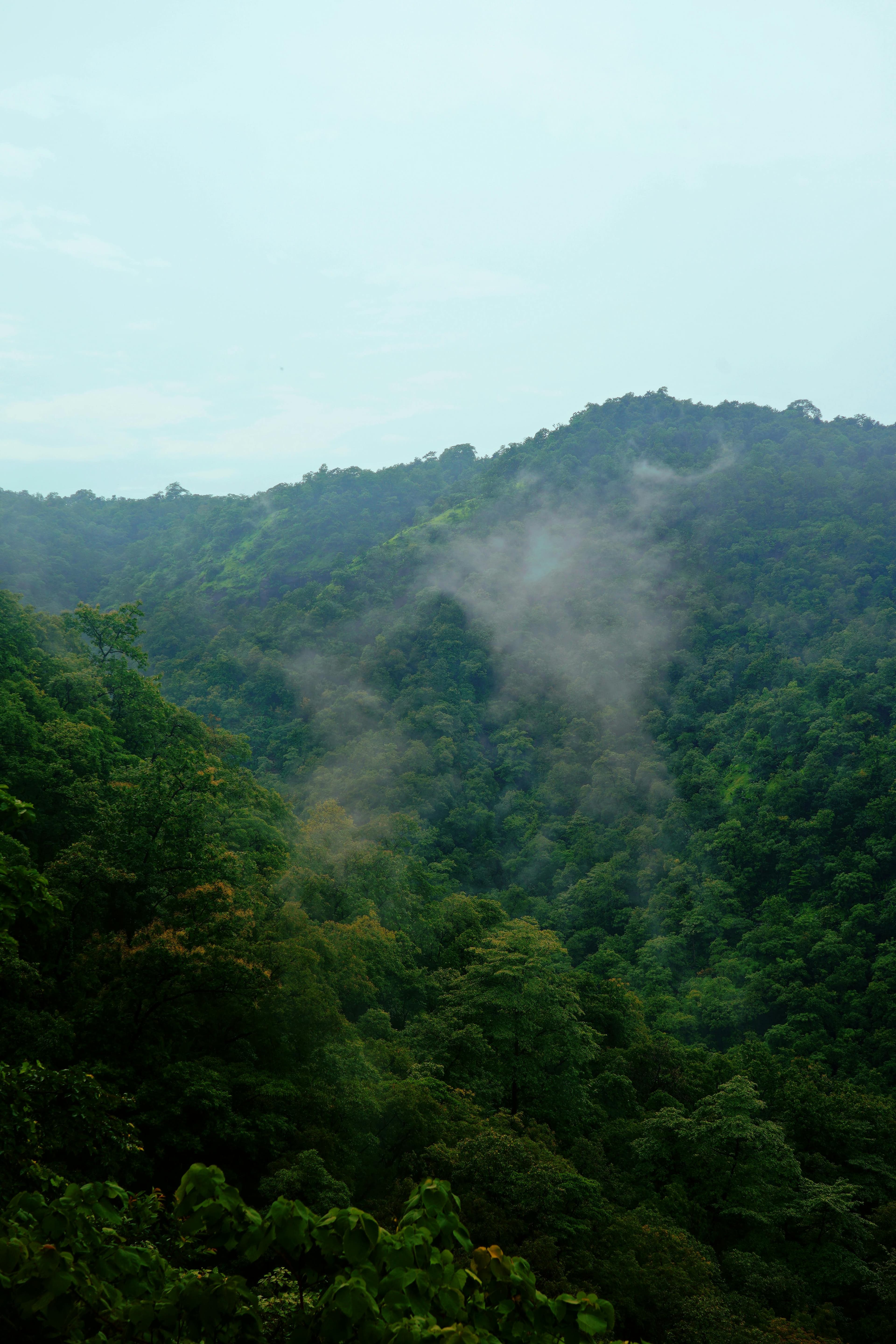 Olentangy Indian Caverns