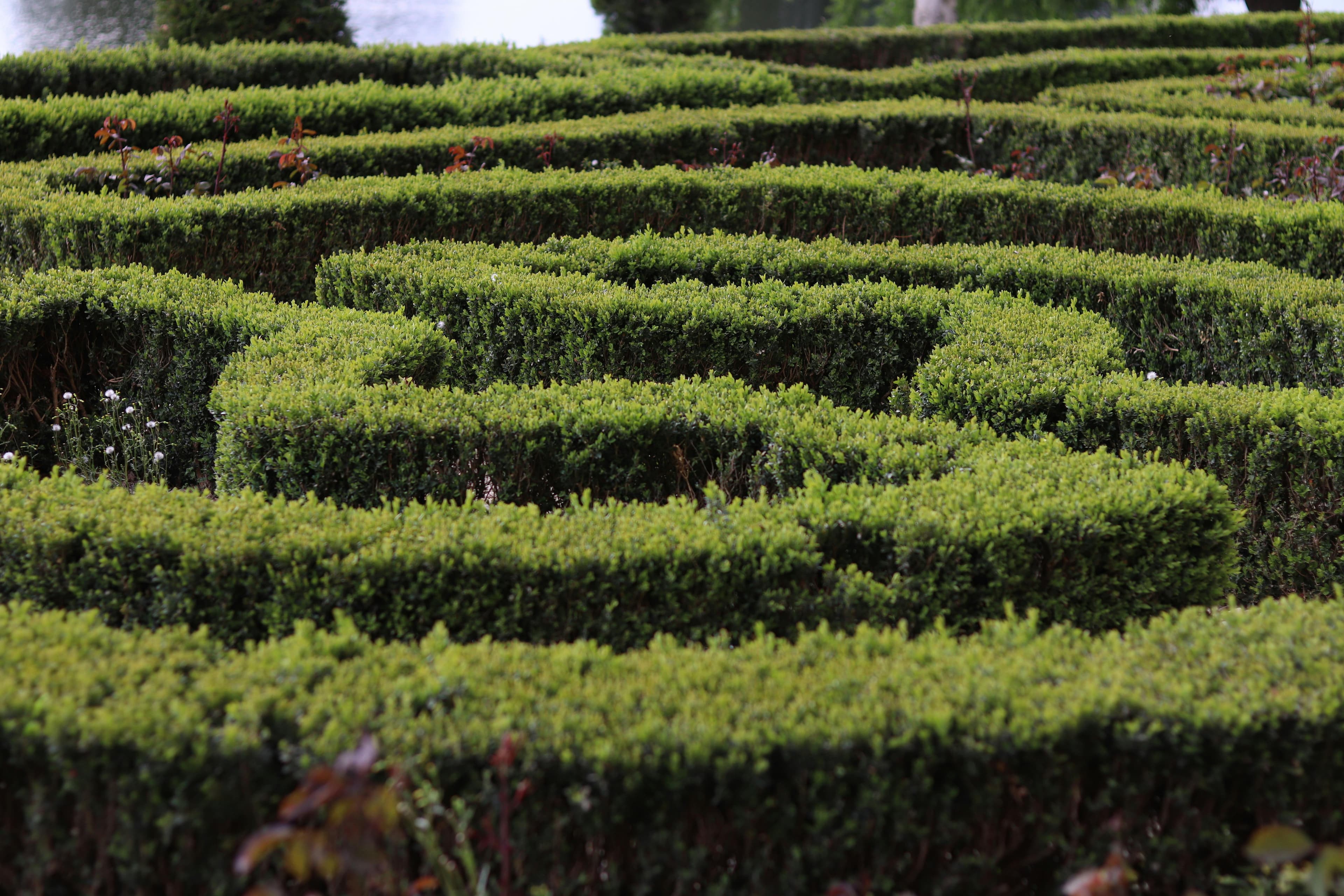 Topiary Park