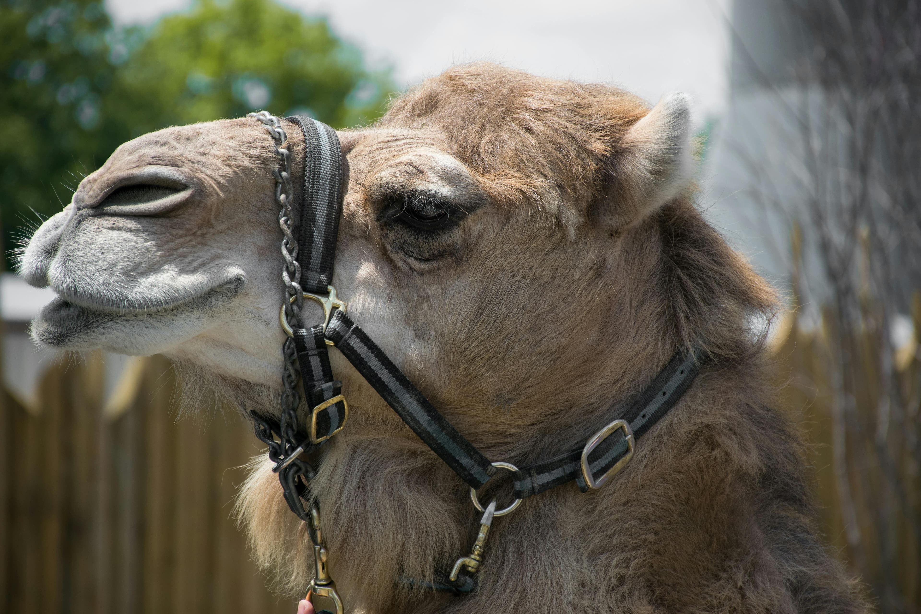 Columbus Zoo and Aquarium