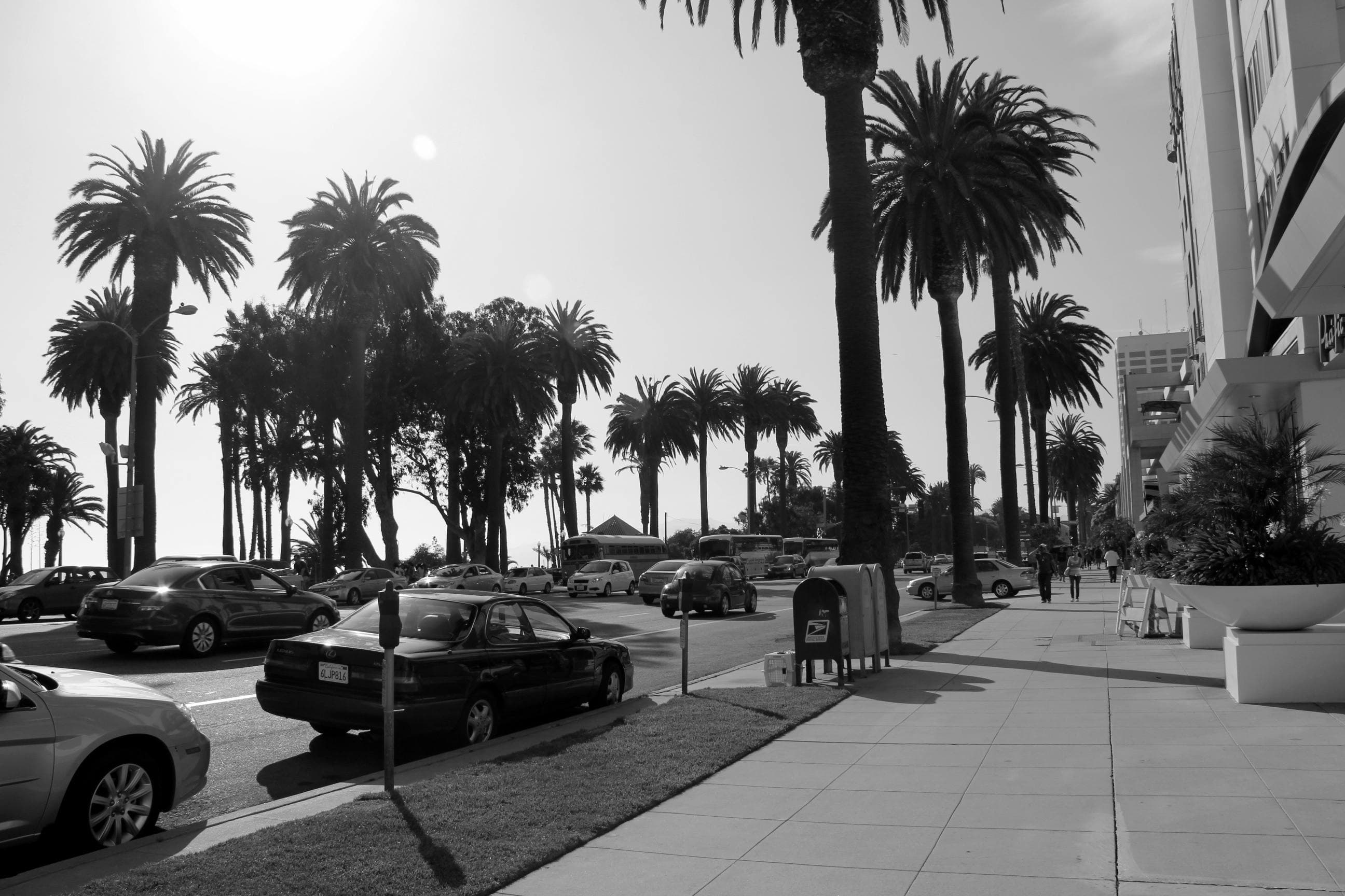Clematis Street