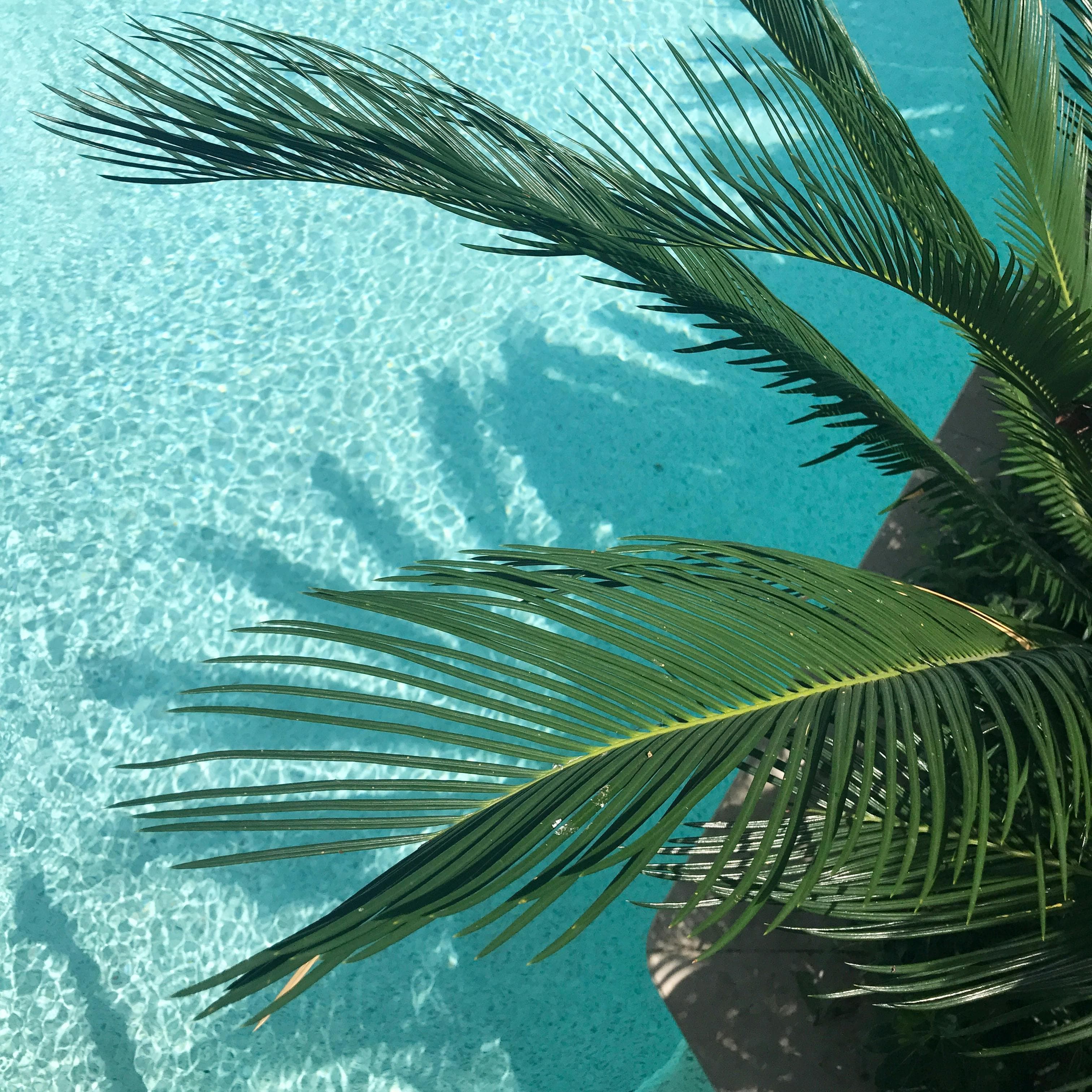 The Breakers Palm Beach
