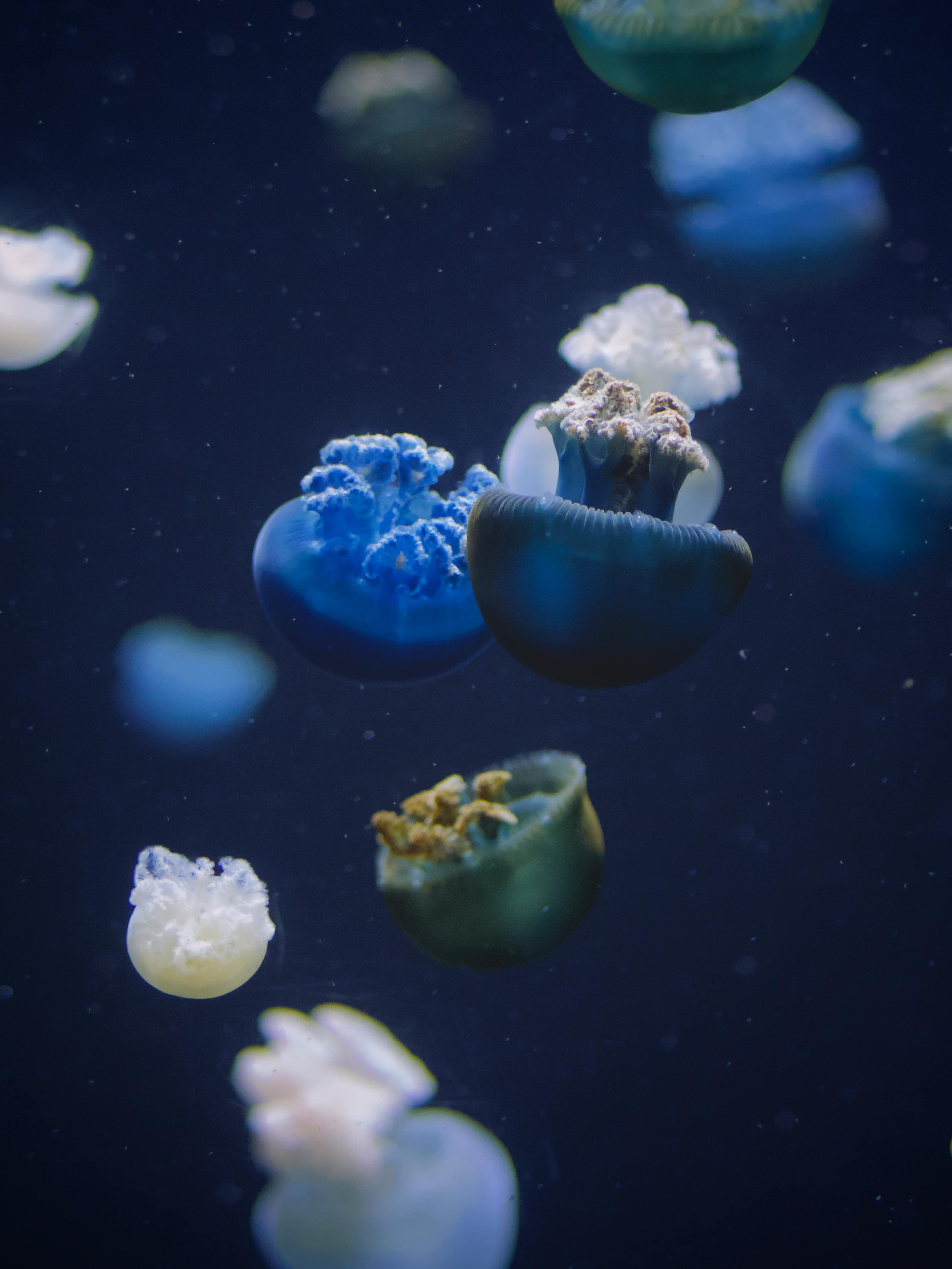 National Aquarium