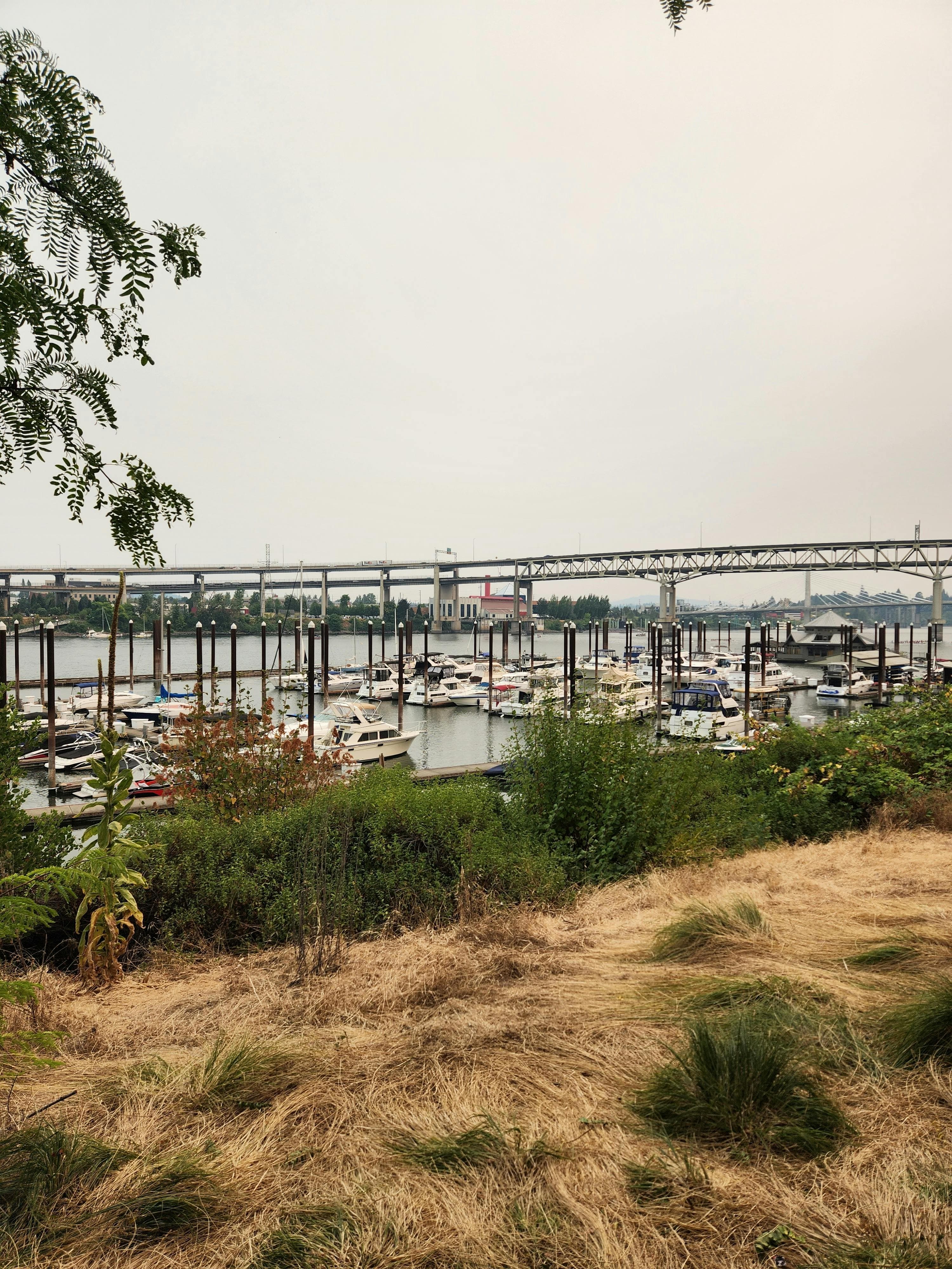 Tom McCall Waterfront Park