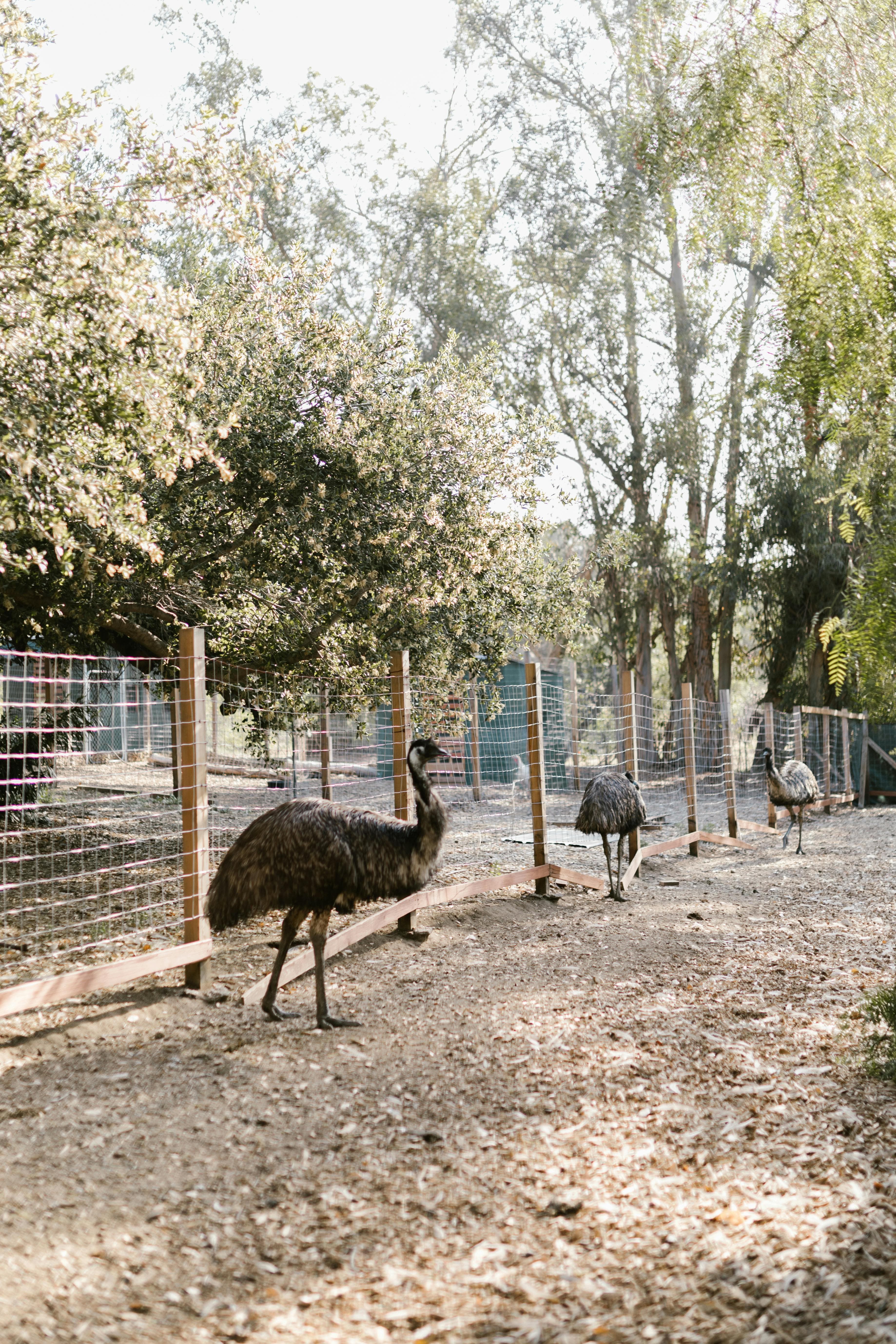 Woodland Park Zoo