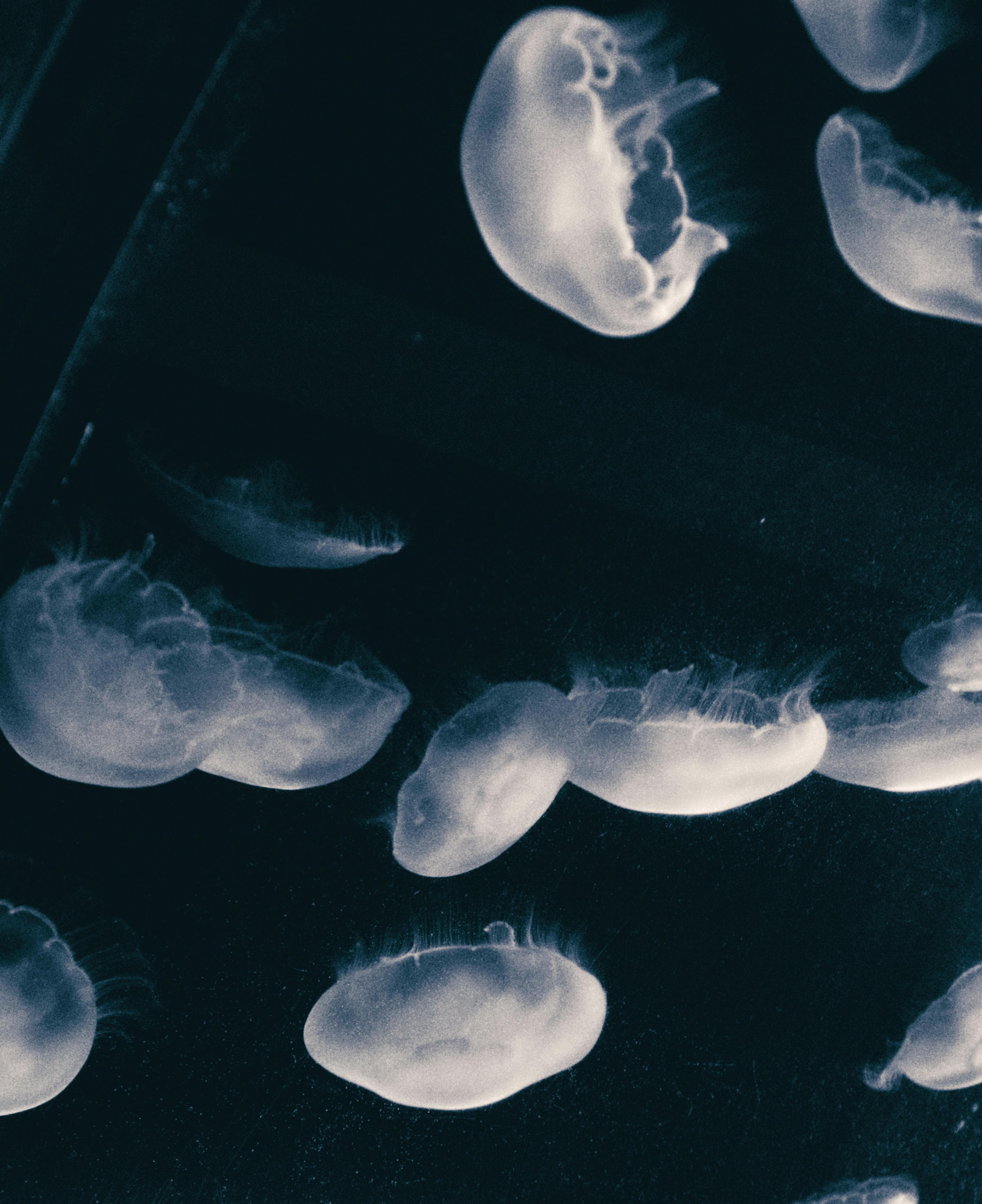 Seattle Aquarium