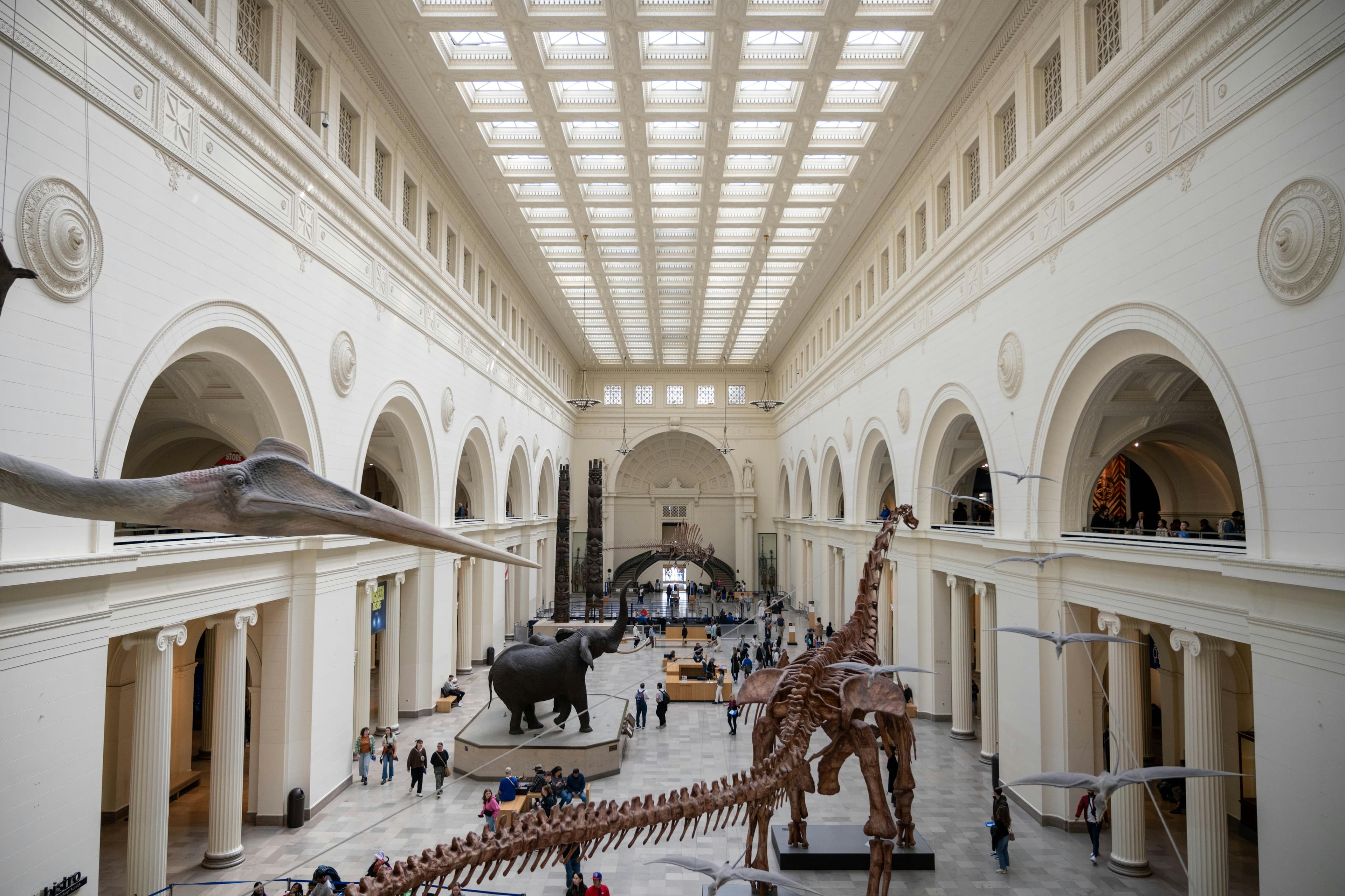 Chicago History Museum