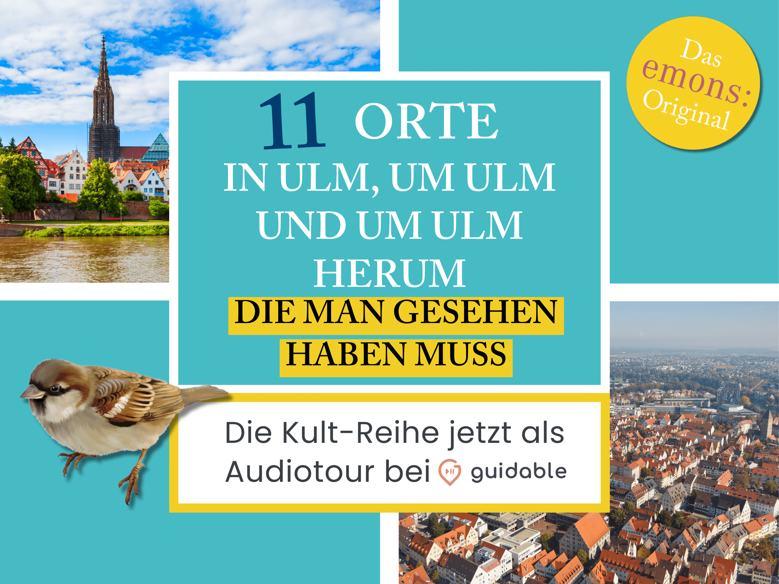 11 Orte in Ulm, die man gesehen haben muss