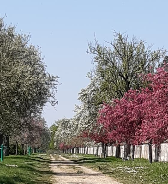 Coignières