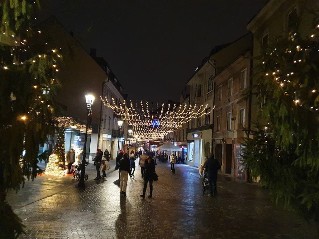 Stadtgemeinde Celje