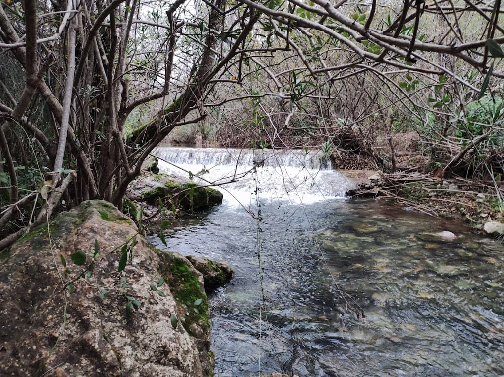 Benafim