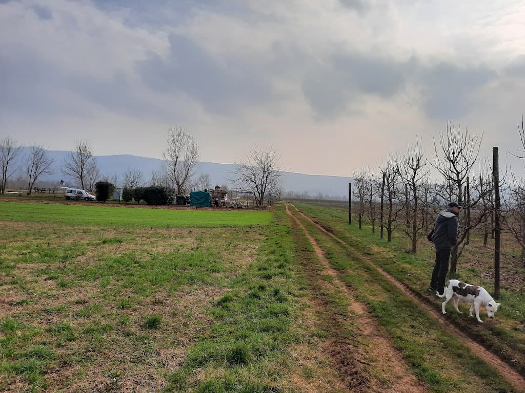 Šempeter-Vrtojba