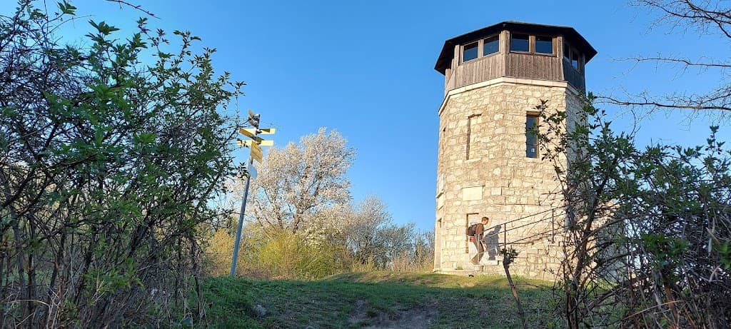 Hof am Leithaberge