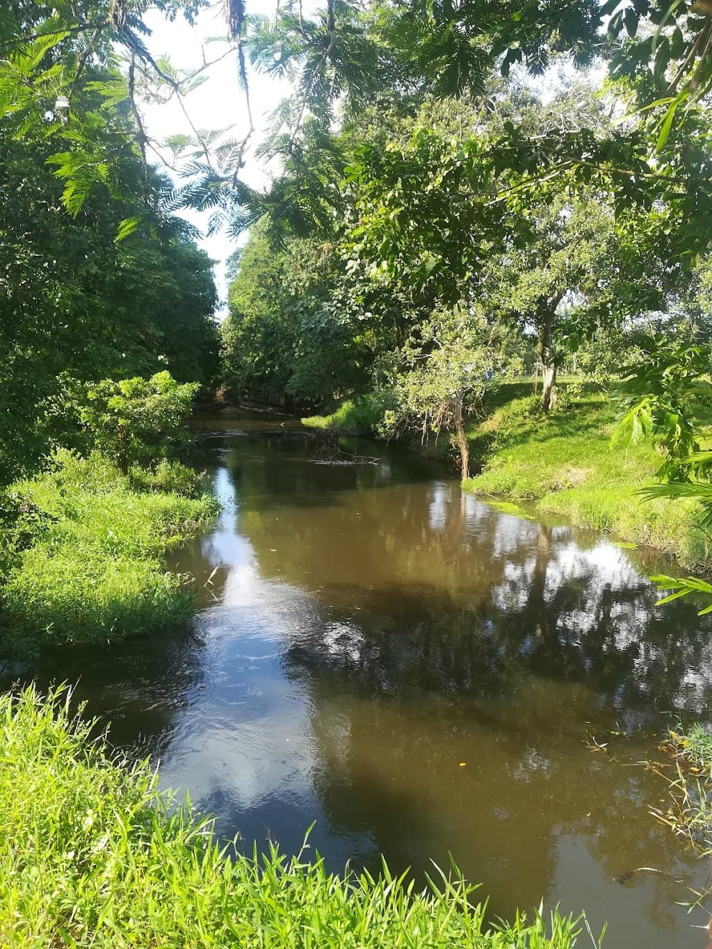 Sarapiquí