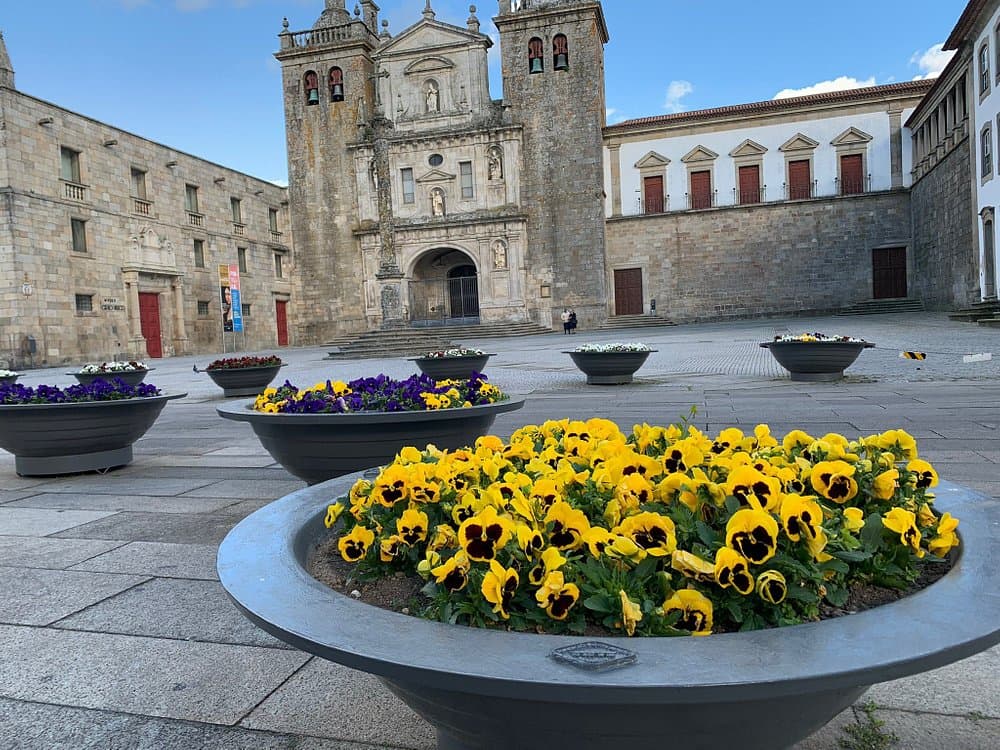 Viseu