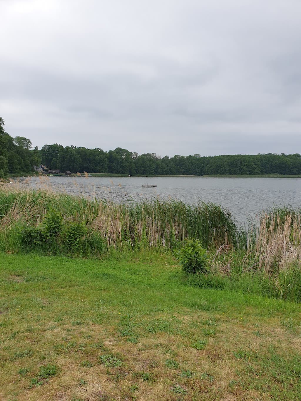 Märkische Heide