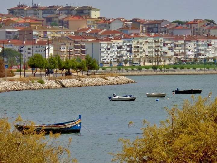 Barreiro
