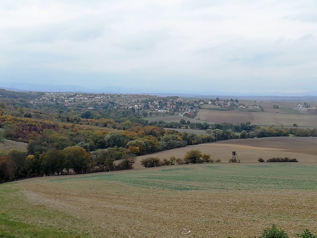 Draßburg