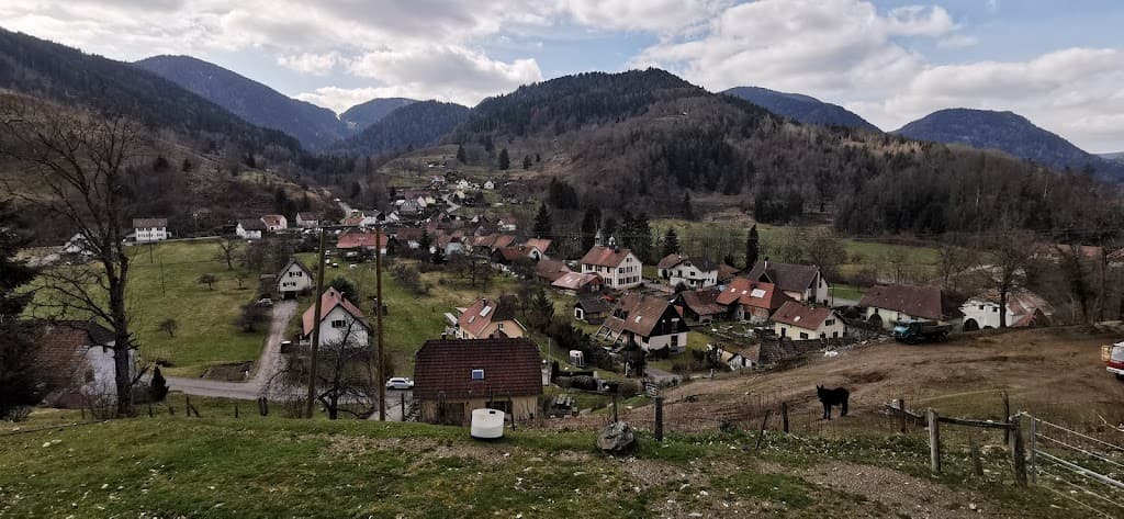 Storckensohn