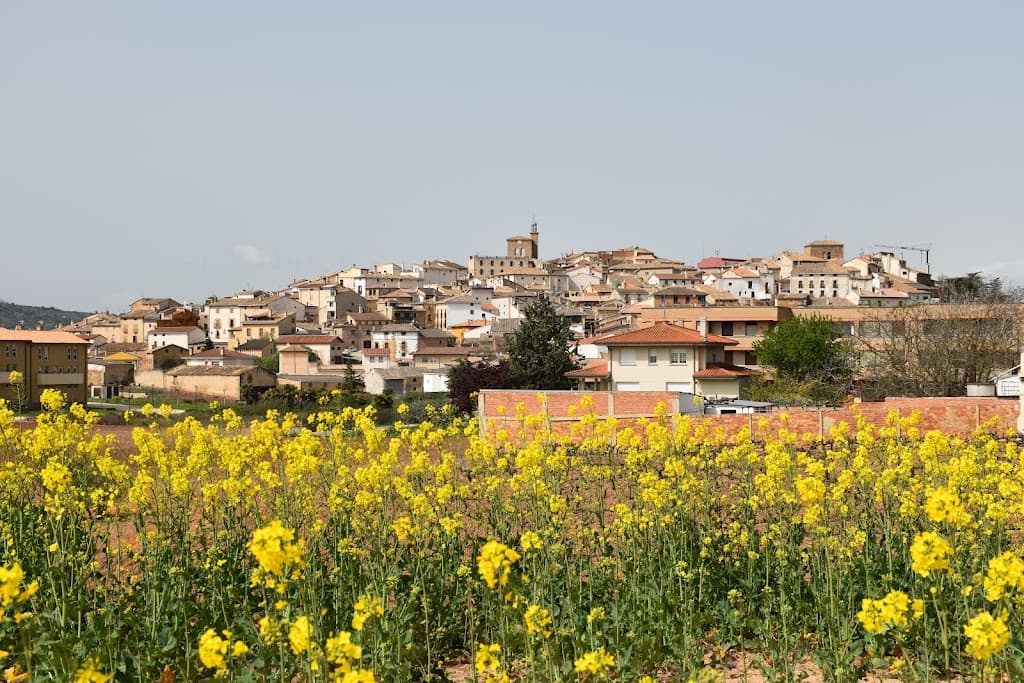 Cirauqui