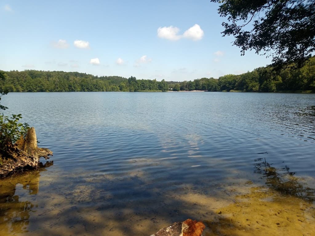 Großensee