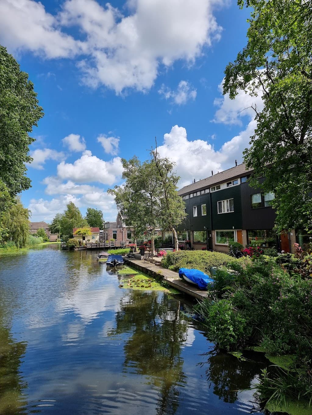 Koog aan de Zaan