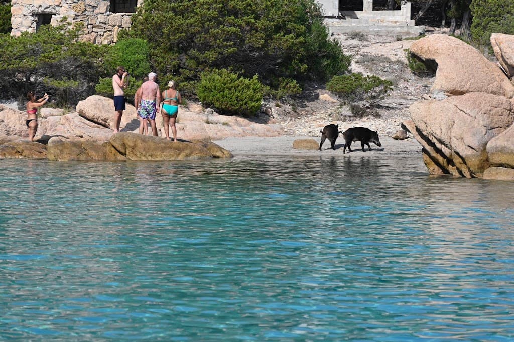 La Maddalena