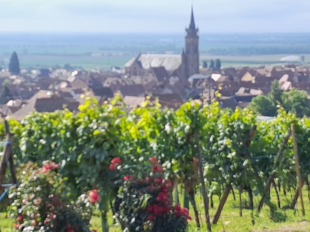 Dambach-la-Ville