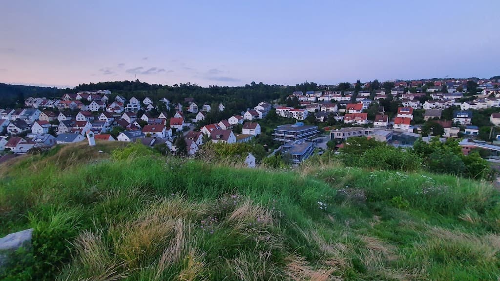 Blaustein